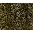 GLAM GREEN ROSE 44,63X119,30 - Apavisa APAVISA - 1