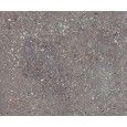 WIND MOSS NATURAL 59,55X59,55 - Apavisa APAVISA - 1