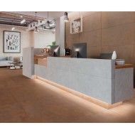 ZINC COPPER NATURAL 119,3X260 - Apavisa APAVISA - 1