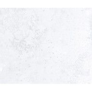 ZINC WHITE MATT 44,63X119,30 - Apavisa APAVISA - 1