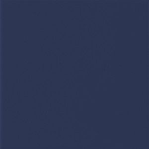 UNITECH OCEANO 20X20CM R1NR RAGNO RAGNO  - 1