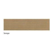 TERRE SENAPE LISTELLO TRATTO 20X80 - ITALGRANITI TE04LT ITALGRANITI GROUP - 1
