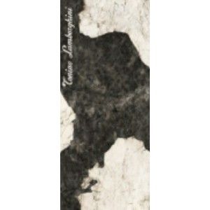 MAGMA  LOGO B  BLACK & WHITE LAPPE RECTIFIE  120x280 - Tonino Lamborghini 189018 TONINO LAMBORGHINI - 1
