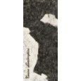 MAGMA  LOGO D  BLACK & WHITE GELAEPPT REKTIFIZIERT  120x280 - Tonino Lamborghini 189020 TONINO LAMBORGHINI - 1