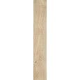 GROVE ALBERO SQ 20X120 - RAGNO RA4V RAGNO  - 1