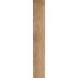 GROVE RADICE SQ 20X120 - RAGNO RA4U RAGNO  - 1