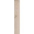 GROVE ESSENZA RETTIFICATO 20X120 - RAGNO RA4T RAGNO  - 1