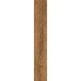 INEDITO NOCCIOLA SQ 25X150 - RAGNO RADN RAGNO  - 1