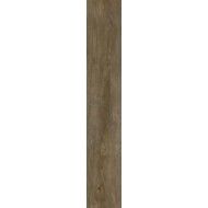 INEDITO CENERE SQ 25X150 - RAGNO RADR RAGNO  - 1