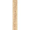 INEDITO AVORIO SQ 20X120 - RAGNO RADT RAGNO  - 1