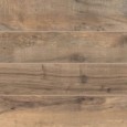 DAKOTA AVANA RETTIFICATO 20X170 - FLAVIKER DK2730R FLAVIKER - 1