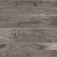 DAKOTA TORTORA RETTIFICATO 30X120 - FLAVIKER DK3123R FLAVIKER - 1
