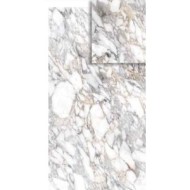 SUPREME MEMORIES BIANCO VAGLI NATUREL 120X120 RECTIFIEE - FLAVIKER PF60011832 FLAVIKER - 1