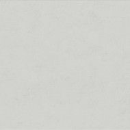 FLORALIA NEIGE NATURALE RETTIFICATO 60X120 - DESVRES ARIANA PF60009646 DESVRES ARIANA - 1