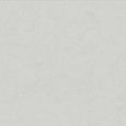 FLORALIA NEIGE NATURALE RETTIFICATO 60X120 - DESVRES ARIANA PF60009646 DESVRES ARIANA - 1