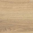 HERMIONE MIEL NATURALE RETTIFICATO 20X120 - DESVRES ARIANA 020226612. DESVRES ARIANA - 1