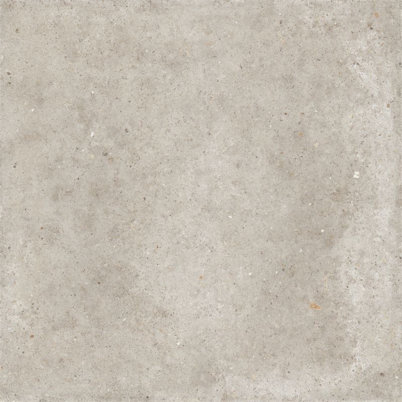 PLEIN AIR ANIMA BEIGE 20 R11 RETTIFICATO 80X80 20 MM - DESVRES ARIANA PF60012159 DESVRES ARIANA - 1