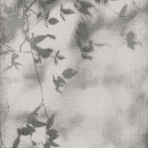 ART WALLS SHADOW NATURALE RETTIFICATO 60X120 - FLAVIKER PF60012582 FLAVIKER - 1