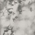 ART WALLS SHADOW NATURAL REKTIFIZIERT 60X120 - FLAVIKER PF60012582 FLAVIKER - 1