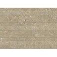 ARKISTYLE EARTH LINE MOSAIQUE 30x60 - CERAMICHE MARCA CORONA J285 CERAMICHE MARCA CORONA  - 1