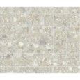 MOMENTUM BEIGE NATURAL MOSAIC  5X5 29,75X29,75/ APAVISA APAVISA - 1