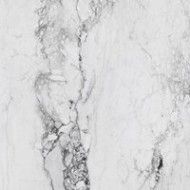 MEDICEA MARBLE WHITE POLIERT  120X120 - RAK CERAMICS RAK CERAMICS TILE - 1