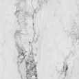 MEDICEA MARBLE WHITE POLIERT  120X120 - RAK CERAMICS RAK CERAMICS TILE - 1