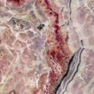 PREZIOSI PLUM LEVIGATO   120X260 - Rak Ceramics RAK CERAMICS TILE - 1