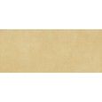 RETINA  SENAPE NATURAL 120x278cm - Ceramica D'Imola RTN6 SENAP278RM CERAMICA D'IMOLA - 1