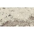 MARMI SELECT  120X60 alaska white select GELAEPPT SQ . - FMG L628600 FMG IRIS - 1