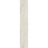 IL CERRETO 23,4x148 CHAMPAGNE NATURAL SQ  - LA FABBRICA AVA 157029 LA FABBRICA AVA - 1