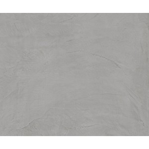 EQUINOX GREY NATURAL 119,3X119,3 - APAVISA APAVISA - 1
