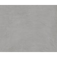 EQUINOX GREY NATURAL 119,3X119,3 - APAVISA APAVISA - 1