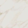 Calacatta Puro 120x120 - CERDOMUS 96581 CERDOMUS - 1