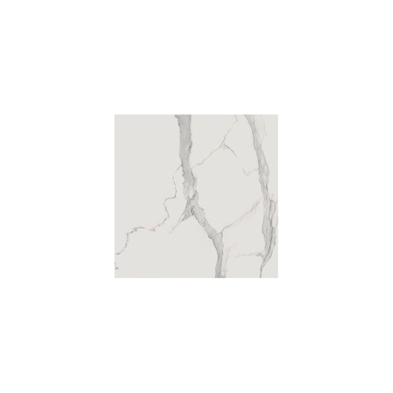 Statuario Bianco Bianco 120x120 Levigato - CERDOMUS 96584 CERDOMUS - 1
