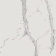 Statuario Bianco Bianco 120x120 Levigato - CERDOMUS 96584 CERDOMUS - 1