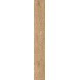 BOHEMEMARRONE RETTIFICATO 20X150 - RAGNO RCDD RAGNO  - 1