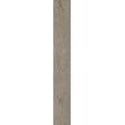 BOHEME TORTORA RETTIFICATO 20X150 - RAGNO RCDC RAGNO  - 1