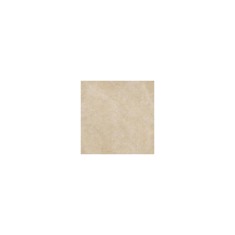 REALSTONE ARGENT XT20 120X120 MIELE RETTIFICATO - RAGNO RC9D RAGNO  - 1