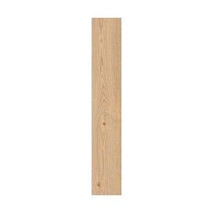 SECRET MIELE OUTDOOR 20X120 - RAGNO RC6U RAGNO  - 1