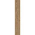 SECRET ROVERE SQ 20X120 - RAGNO RC6Q RAGNO  - 1