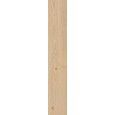 SECRET BEIGE RETTIFICATO 20X120 - RAGNO RC6M RAGNO  - 1