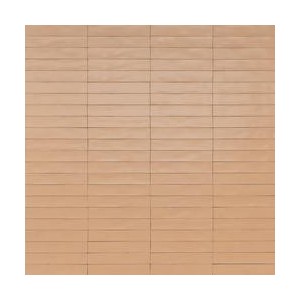 WISH PETAL 5,3X30 - RAGNO RCGC RAGNO  - 1
