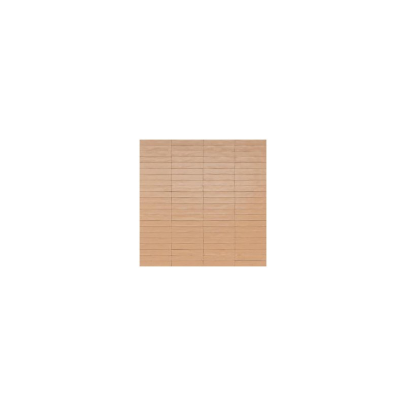WISH PETAL 5,3X30 - RAGNO RCGC RAGNO  - 1