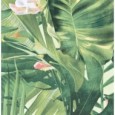 WONDERSPACE TROPICAL 60X120 SQ  - NOVABELL WDS760K NOVABELL - 1