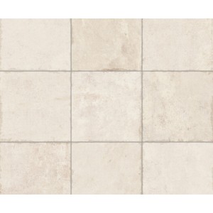 ARGILLA WHITE NATUREL MOSAIQUE 5X5 29,75X29,75/ - APAVISA APAVISA - 1