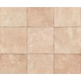 ARGILLA OCHRE NATURAL 59,2X59,2 - APAVISA APAVISA - 1