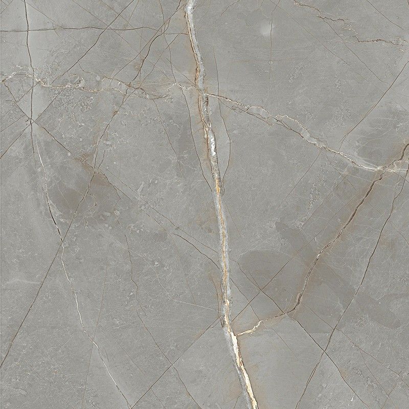 JEWELS RAYMI JW 16 SUPERFICIE NATURALE  120X120 9,3mm - MIRAGE TY31 MIRAGE - 1
