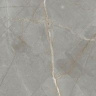 JEWELS RAYMI JW 16 SUPERFICIE NATURALE  120X120 9,3mm - MIRAGE TY31 MIRAGE - 1