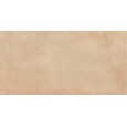 AMURI BISCOTTO 60X120 SQ - RAGNO RCPH RAGNO  - 1